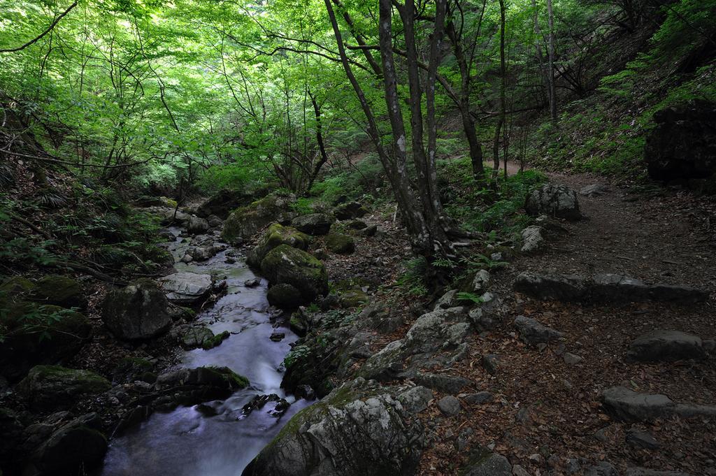 Shukubo Komadori-Sanso Ome Exterior foto