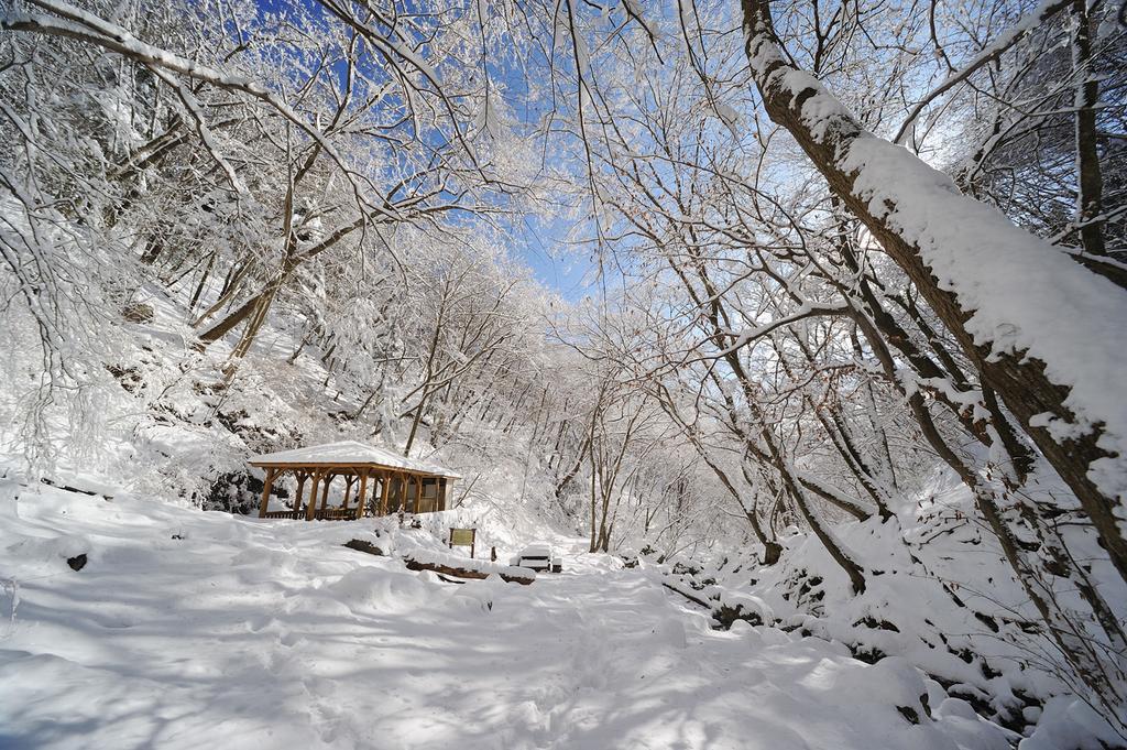 Shukubo Komadori-Sanso Ome Exterior foto