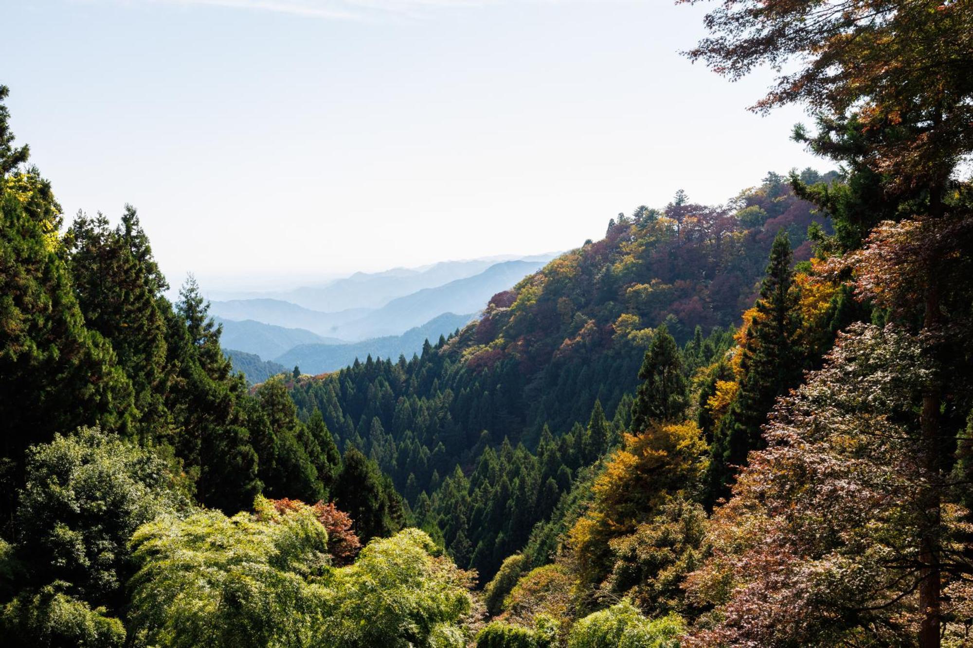 Shukubo Komadori-Sanso Ome Exterior foto
